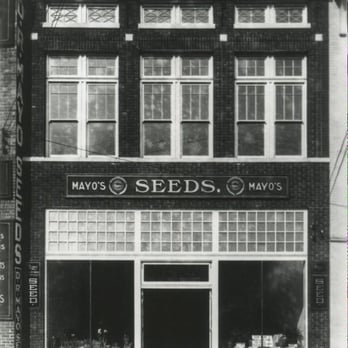 Mayo Gardens Center - First location, on Wall Street in downtown Knoxville, destroyed by TVA. - Nurseries & Gardening Near Me - Powell, Tennessee Mayo Gardens Center - First location, on Wall Street in downtown Knoxville, destroyed by TVA. - Nurseries & Gardening Near Me - Powell, Tennessee