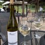 Photo of Casanel Vineyards & Winery