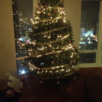 Ivy's Christmas Trees - Christmas Trees Near Me - Chicago, Illinois