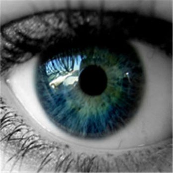 Upper Appleby Eyecare - Optometrists Near Me - Burlington, Ontario Upper Appleby Eyecare - Optometrists Near Me - Burlington, Ontario