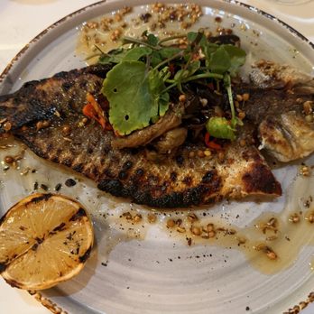 Marina - Italian Near Me - Pasadena, California Marina - Italian Near Me - Pasadena, California