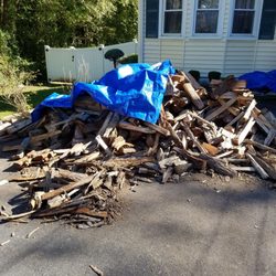 Timberwolf Tree Service - According to John,  during the 2 weeks  of rain, I must've stacked his wood and brought this in to make him look bad ! BEWARE!
