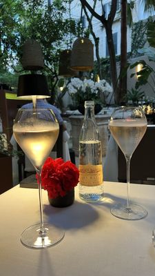 Fera Palma Restaurant by null