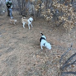 Moab Veterinary Clinic - On the way to Moab