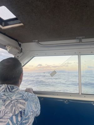 Maui Dreams Dive Co by null