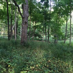 Miami Woods