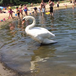 Schultheis-Weiher