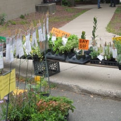 Saturday Northampton Farmers Market