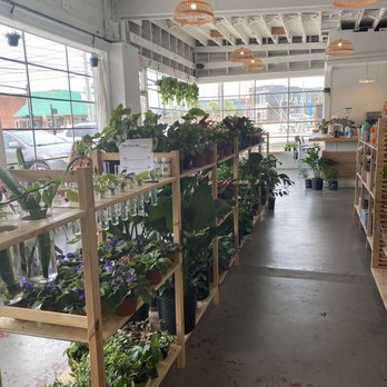 Jacks Coffee & Plants - Coffee & Tea Near Me - Knoxville, Tennessee