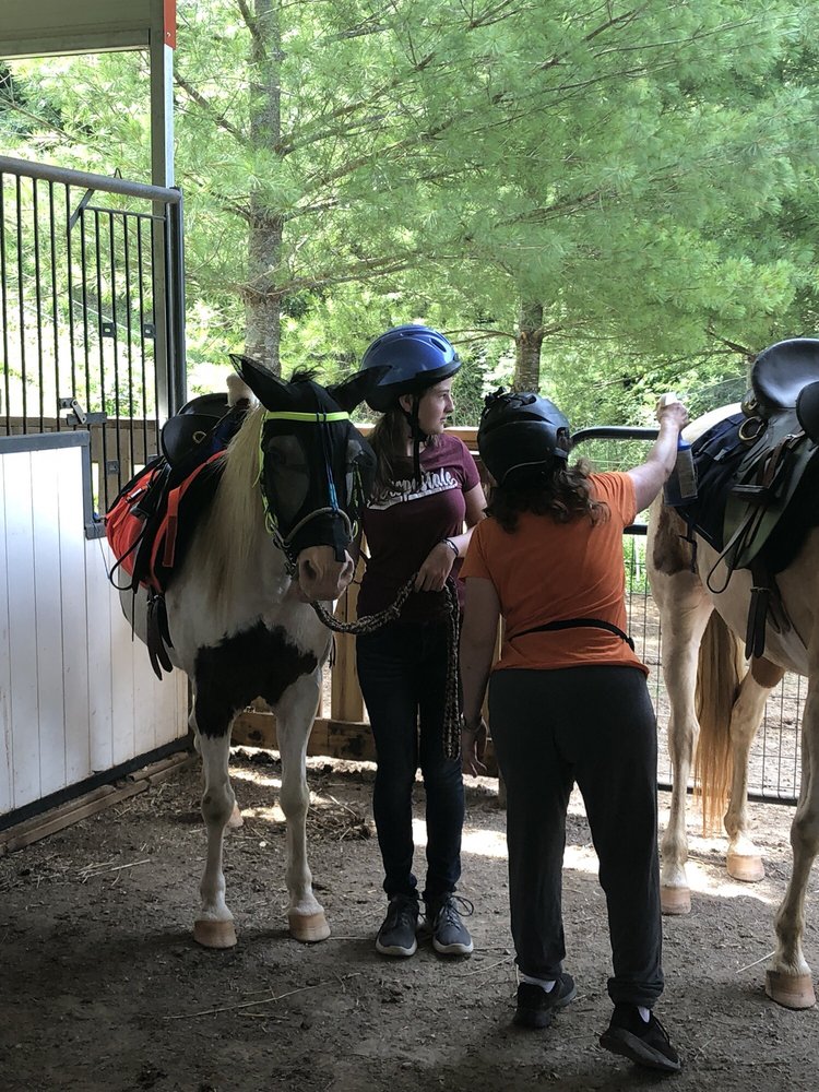 Lake Meadow Farm - equestrian in Granville, TN