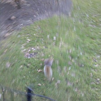 Madison Square Park - trippy - Parks Near Me - New York, New York