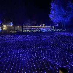 Enchanted Garden Holiday Lights Festival - Light field