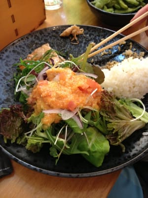 Kinoko Japanese Restaurant by null