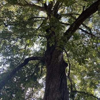 Sholom Park - Parks Near Me - Ocala, Florida