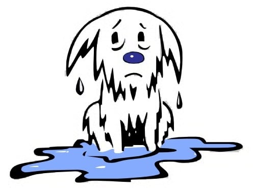 Slide of Carrier Plumbing