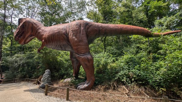 Dinosaur World by null