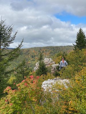 Dolly Sods Wilderness by null