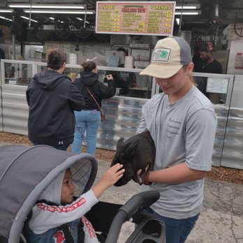 Clay County Fair - Festivals Near Me - Green Cove Springs, Florida Clay County Fair - Festivals Near Me - Green Cove Springs, Florida