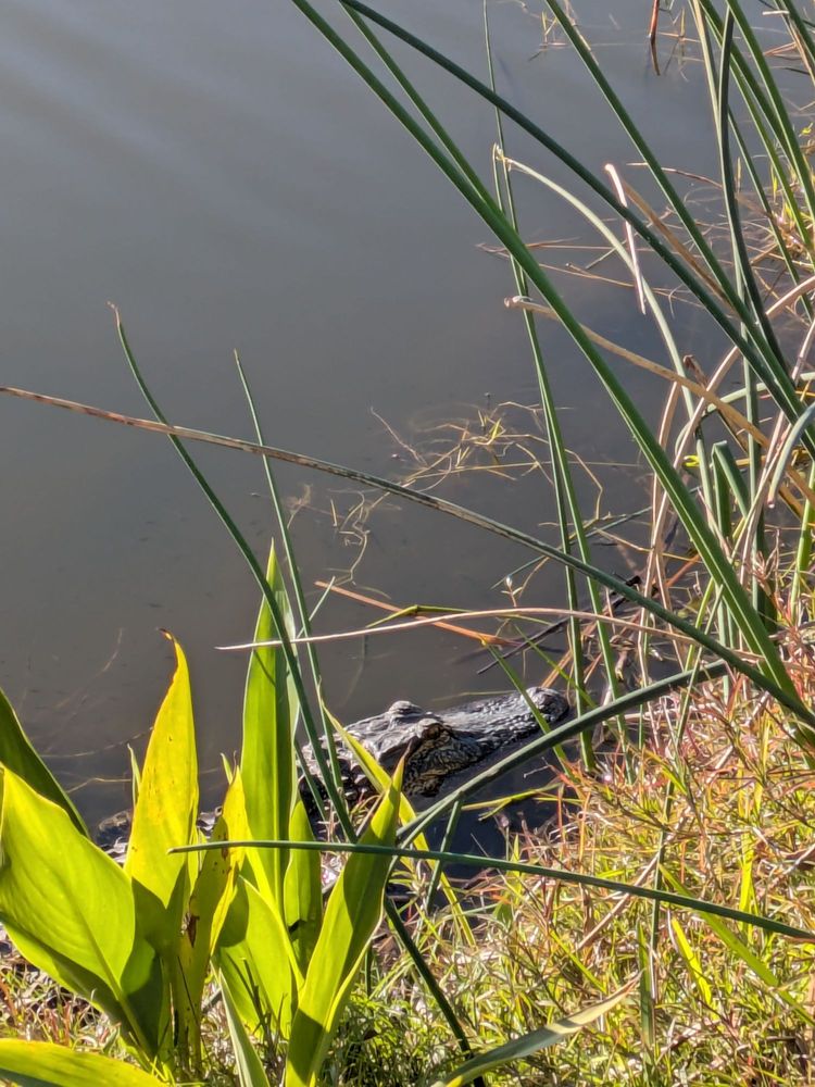 Cooper's Bayou Park Image