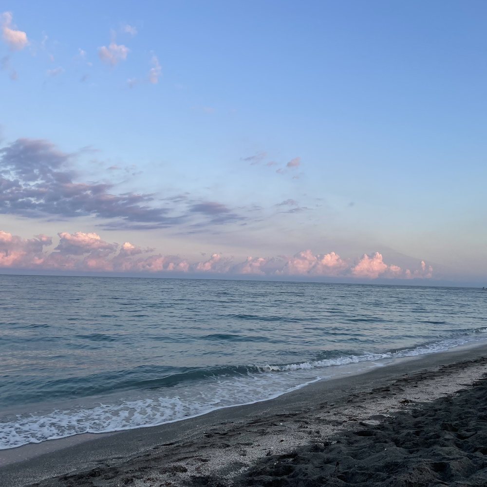 Turtle Beach - Turtle Beach - early morning - Beaches Near Me