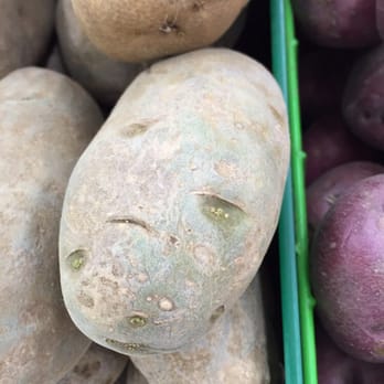 Westminster Superstore - Green potato = bad potato. Trust me. Google it if you think I'm kidding. - International Grocery Near Me - Westminster, California Westminster Superstore - Green potato = bad potato. Trust me. Google it if you think I'm kidding. - International Grocery Near Me - Westminster, California