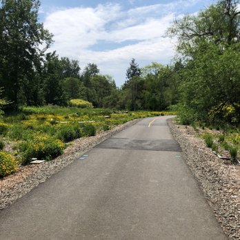 Washington Park Arboretum - Parks Near Me - Seattle, Washington Washington Park Arboretum - Parks Near Me - Seattle, Washington