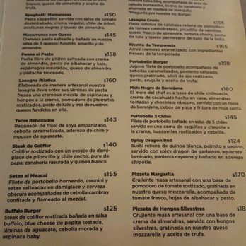 Vegan Inc - Menu 2 - Vegetarian Near Me - Monterrey, NLE