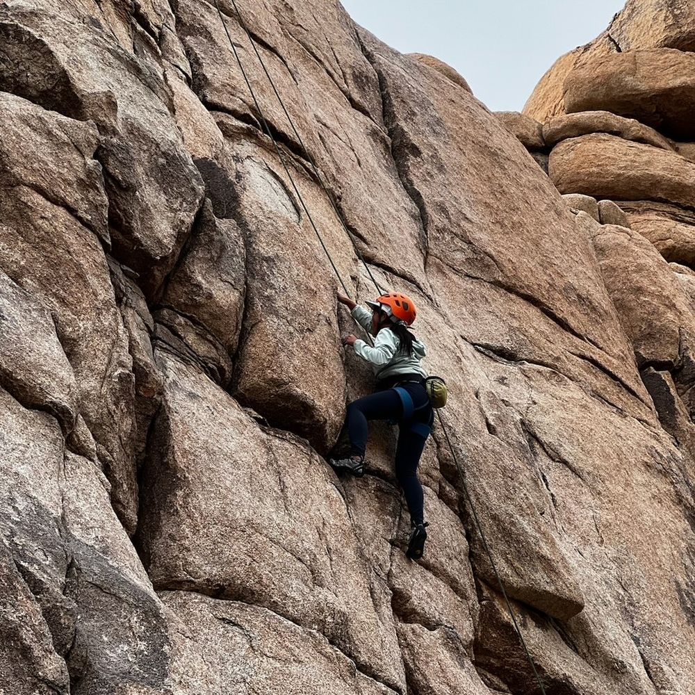 Joshua Tree Lizard - Rock Climbing Near Me Joshua Tree Lizard - Rock Climbing Near Me