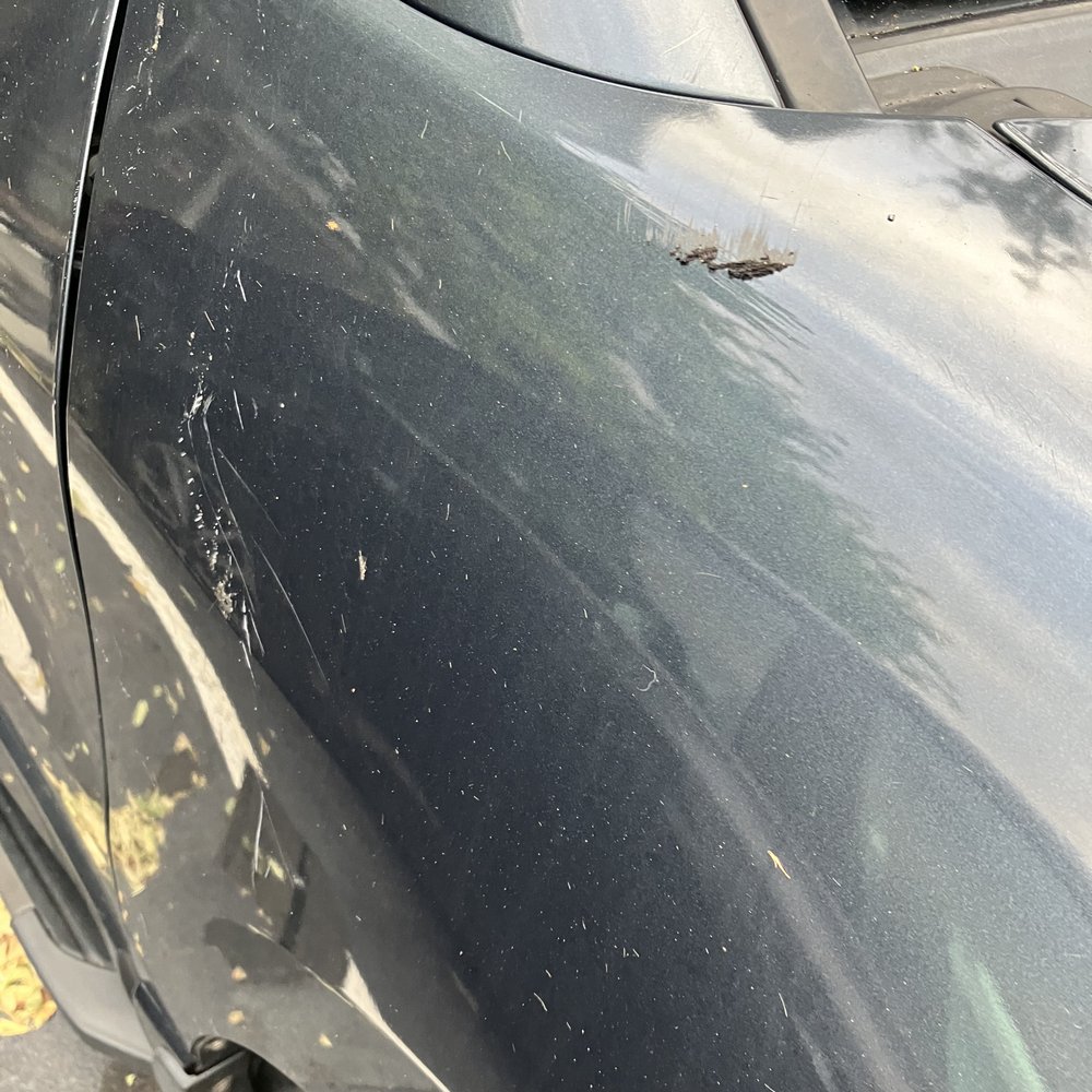 Auto Detailing Solutions - front right quarter panel before - Auto Detailing Near Me - Tampa, Florida