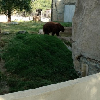 CALM Zoo - Zoos Near Me - Bakersfield, California