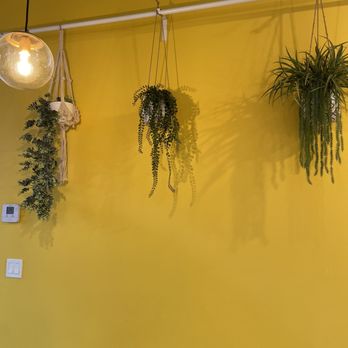 Happy Lemon - Nice modern fixtures - Bubble Tea Near Me - Richardson, Texas Happy Lemon - Nice modern fixtures - Bubble Tea Near Me - Richardson, Texas