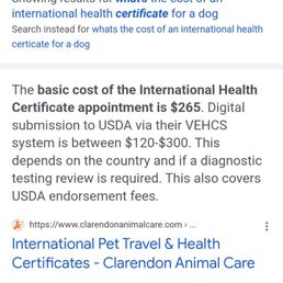 International Health Certificate for Cats near Me: Fast & Easy