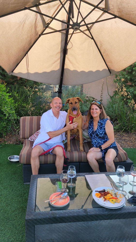 BETTER K9 PET RESORT RIVERSIDE LOCATION Updated October 2024 13