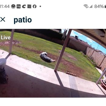 Master Rooter - This photo shows the scar that was left behind after Master Rooter dug up my yard. There's no sprinkler head there any longer - Plumbing Near Me - Mesa, Arizona