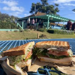 Anuenue Cafe - Solo lunch while in Kauai, HI. Listening to IC call. Pre H. Eye. 1/23