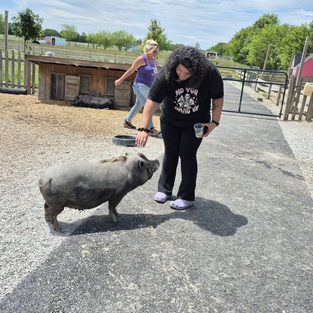Oinking Acres Farm - Attraction Farms Near Me - Brownsburg, Indiana Oinking Acres Farm - Attraction Farms Near Me - Brownsburg, Indiana