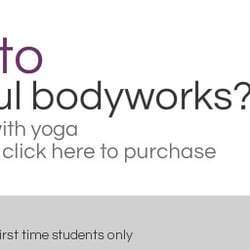 Mindful Body Works Yoga Studio