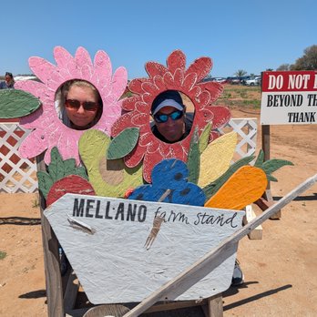 Mellano Farm Stand - Farmers Market Near Me - Oceanside, California Mellano Farm Stand - Farmers Market Near Me - Oceanside, California