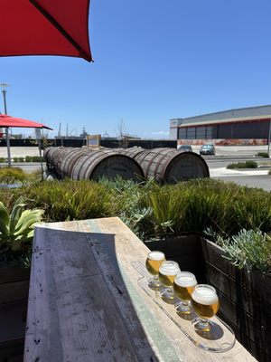 The Rake at Admiral Maltings by null