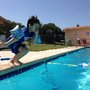 Photo of Canyon Lake Forest Pool