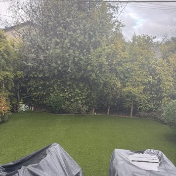 The Turf Guy - Back yard - Artificial Turf Near Me - Santa Monica, California The Turf Guy - Back yard - Artificial Turf Near Me - Santa Monica, California