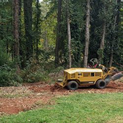 Roma's Stump Grinder