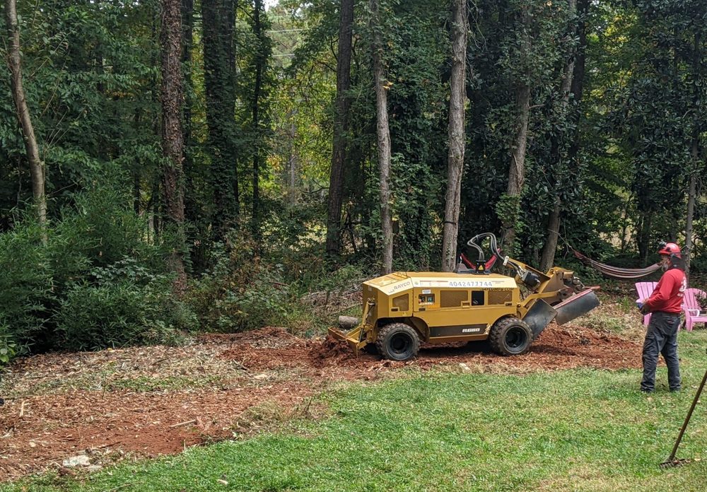 ROMA’S STUMP GRINDER Updated July 2024 Atlanta, Tree Services Phone Number Yelp