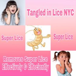 Tangled In Lice NYC - Tangled in Lice NYC