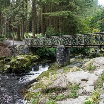 Tollymore Forest Park - One of many cool bridges. - Parks Near Me - Newcastle, DOW Tollymore Forest Park - One of many cool bridges. - Parks Near Me - Newcastle, DOW