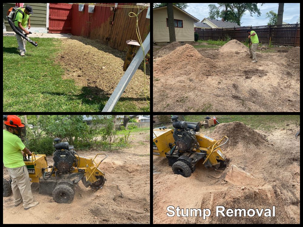 Making The Cut - tree service in Fort Wayne, IN