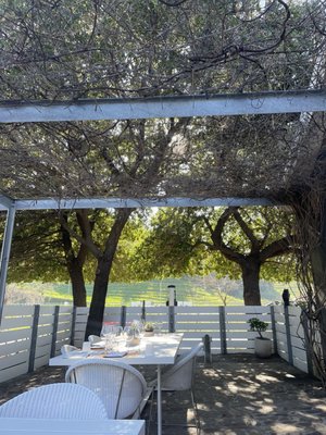 Odette Estate Winery by null