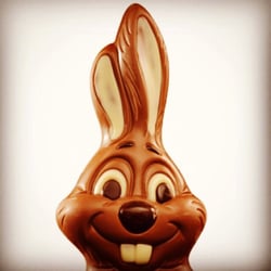 Chocion Finest Chocolate - Unser Schnuffi