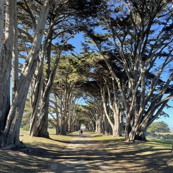 Cypress Tree Tunnel - Parks Near Me - Inverness, California Cypress Tree Tunnel - Parks Near Me - Inverness, California
