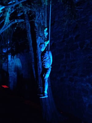 Kirkstall Abbey by null